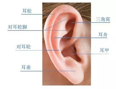 详解耳廓畸形有哪些解决方案